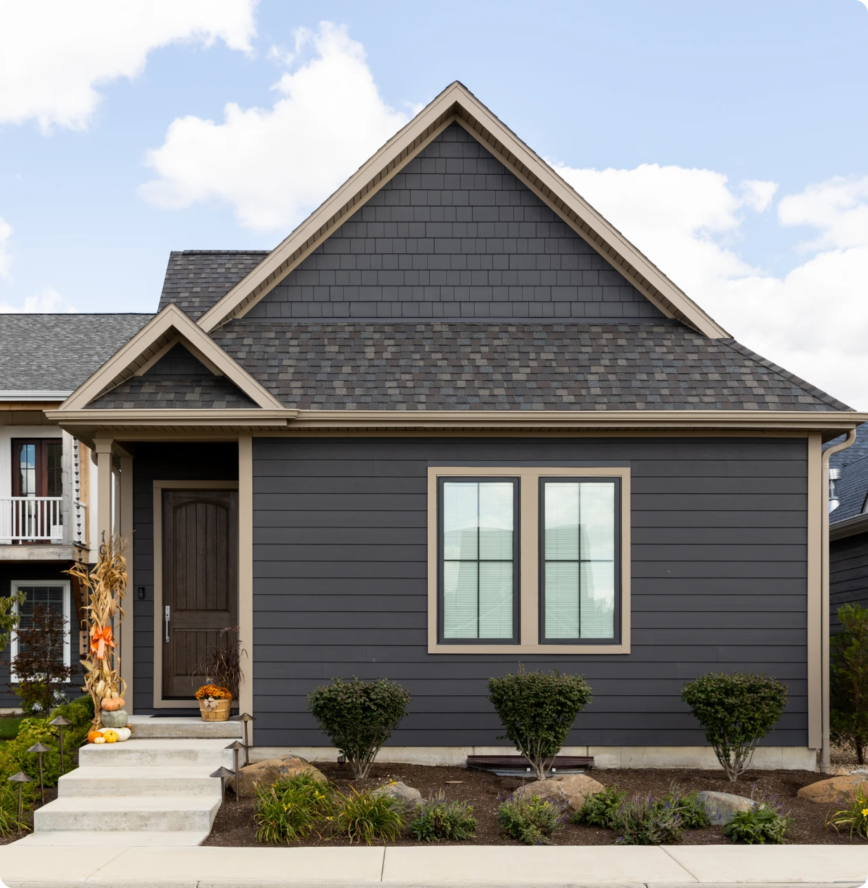 Modern house with dark siding